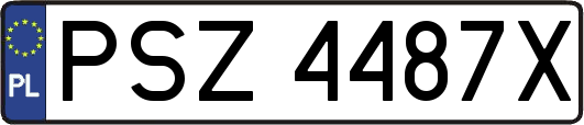 PSZ4487X