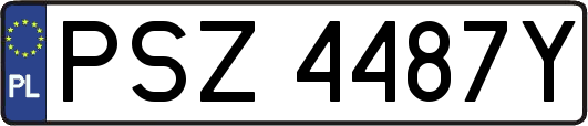 PSZ4487Y