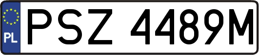 PSZ4489M