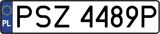 PSZ4489P
