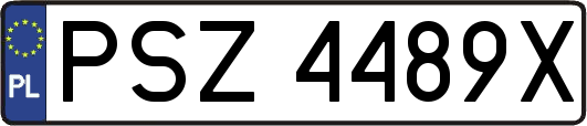 PSZ4489X