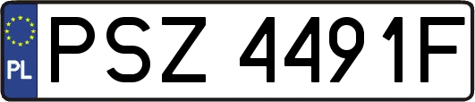 PSZ4491F