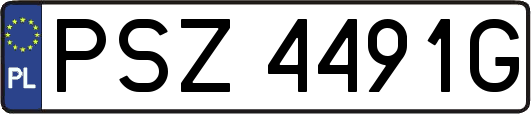 PSZ4491G
