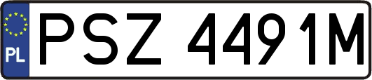 PSZ4491M