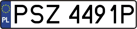 PSZ4491P