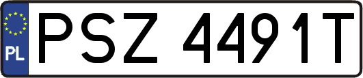 PSZ4491T