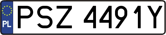 PSZ4491Y