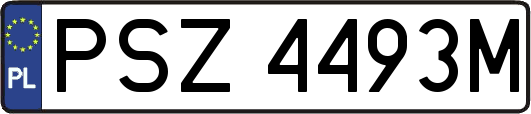 PSZ4493M