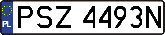 PSZ4493N