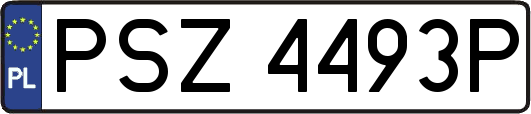 PSZ4493P