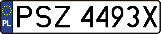 PSZ4493X