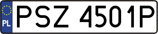 PSZ4501P