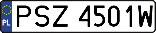PSZ4501W