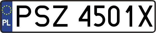 PSZ4501X