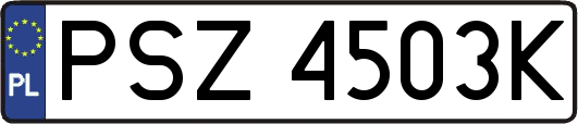 PSZ4503K