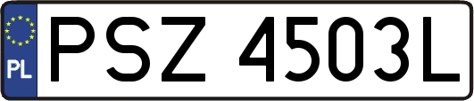 PSZ4503L
