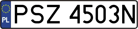 PSZ4503N