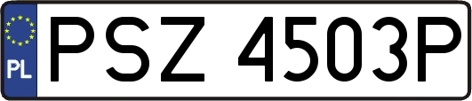 PSZ4503P