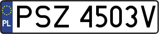 PSZ4503V