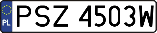 PSZ4503W