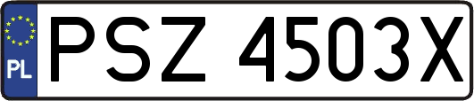 PSZ4503X