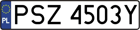 PSZ4503Y