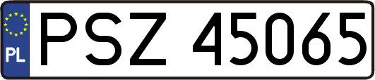 PSZ45065