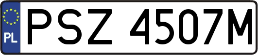 PSZ4507M