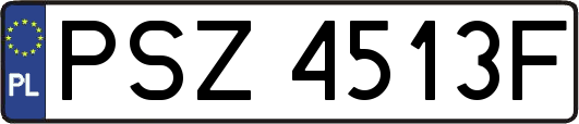 PSZ4513F