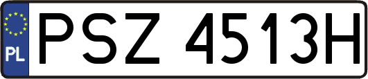 PSZ4513H