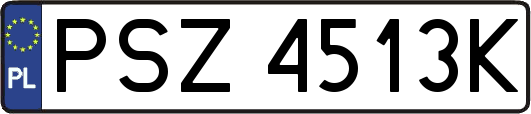 PSZ4513K
