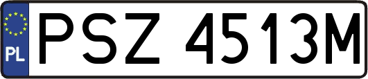 PSZ4513M