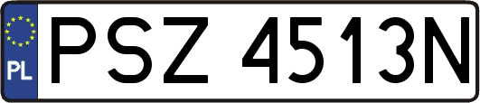 PSZ4513N