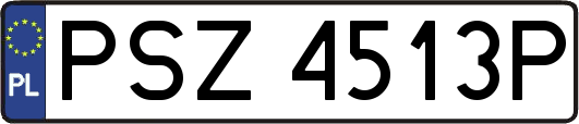 PSZ4513P