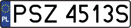 PSZ4513S