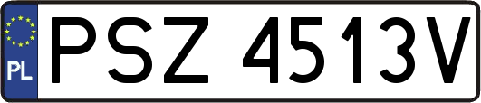 PSZ4513V