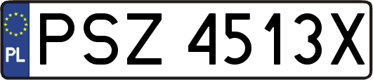 PSZ4513X