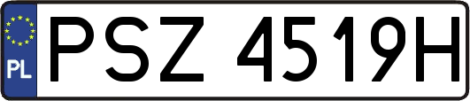 PSZ4519H