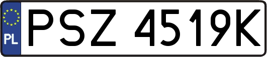 PSZ4519K