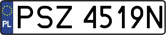 PSZ4519N