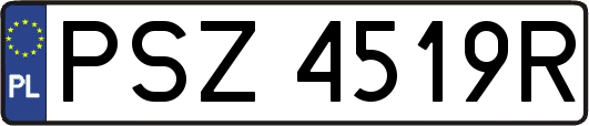 PSZ4519R