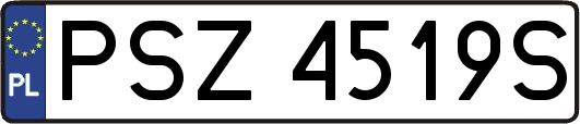 PSZ4519S