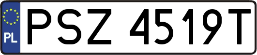 PSZ4519T