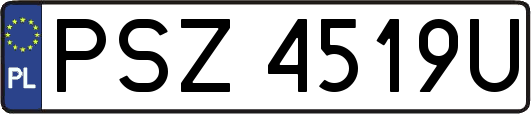 PSZ4519U