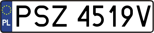 PSZ4519V