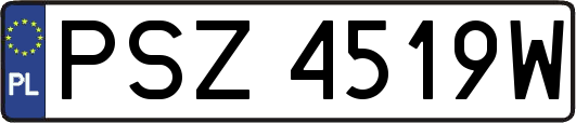 PSZ4519W