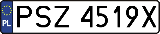 PSZ4519X