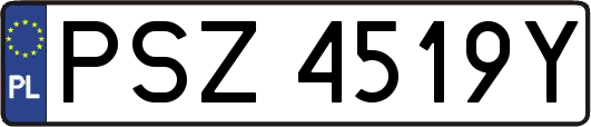 PSZ4519Y