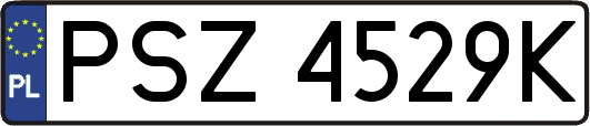 PSZ4529K