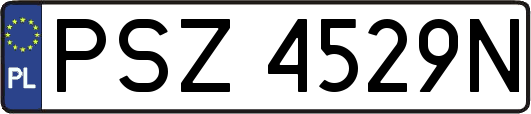 PSZ4529N